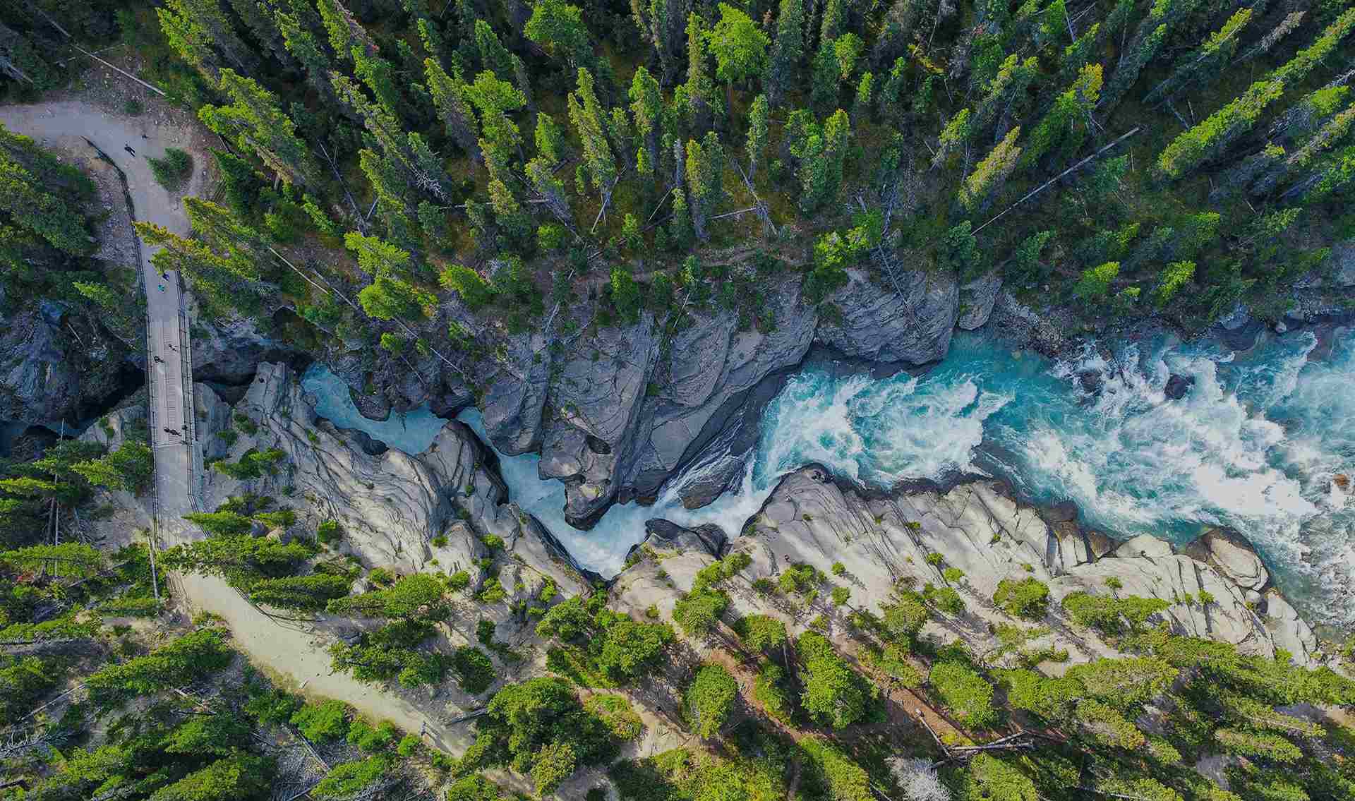 Aerial view mountain forest